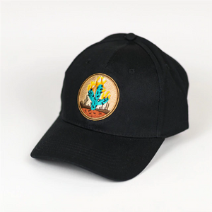 Travis Scott ''Rodeo Cactus'' Cap - Vintage Rap Wear